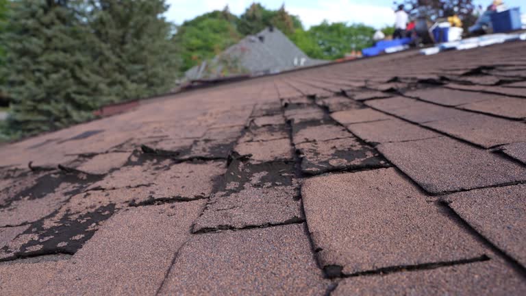 Best Flat Roofing  in Guadalupe, AZ